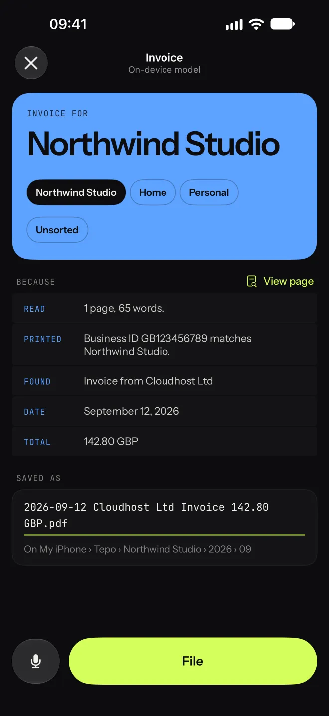 Tepo's decision screen for a Cloudhost invoice, with the evidence and the proposed file name